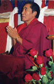 Homage to His Eminence, Khenchen Palden Sherab Rinpoche, photo by Rev. Nancy Ash from her private collection