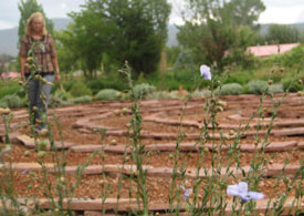 Walking meditation techniques photo of Rev Nancy Ash, 2010 from her private collection