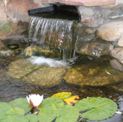 Taos, NM meditation photo by Rev. Dr. Nancy Ash, 2008