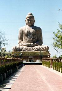 Basic Beliefs of Buddhism photo from Rev Nancy's Collection